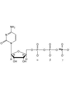 [gamma-P32]CTP, 6000 Ci/mmol, 10 mCi/ml