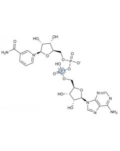 [adenylate-P32], Nicotinamide Adenine Dinucleotide, >6000 Ci/mmol, 10 mCi/ml