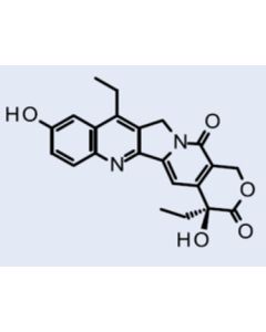 SN-38, [H3]-