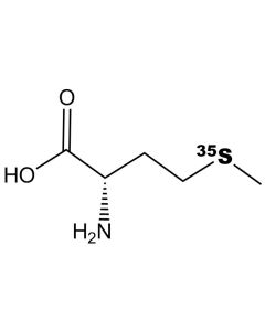 L-[S35]Methionine, 1000 Ci/mmol, 30 mCi/ml