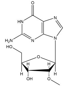 2'-(O-Methyl)-guanosine