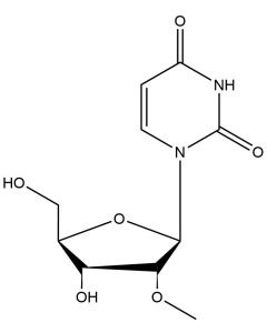 2'-(O-Methyl)-uridine