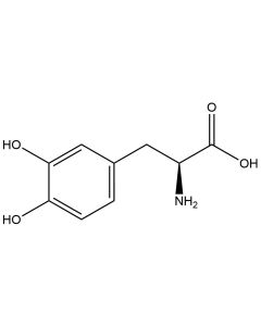 L-3,4-Dihydroxyphenylalanine