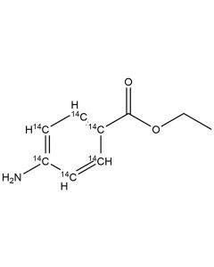 Benzocaine, [ring-14C]-
