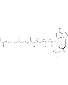 Propionyl Coenzyme A, [1-14C]-