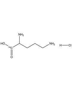 D,L-Ornithine hydrochloride, [1-14C]-