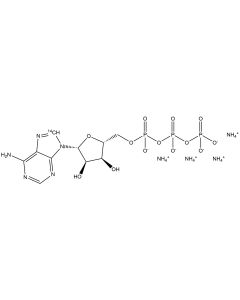 Adenosine 5'-triphosphate, tetraammonium salt, [8-14C]-