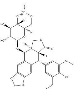 Etoposide, [ethylidene-1-14C]-