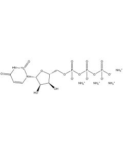 Uridine 5'-triphosphate, tetraammonium salt, [2-14C]-