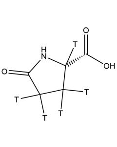 Pyroglutamic acid, [2,3,4-3H]-