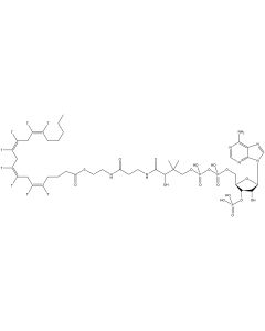 Arachidonyl coenzyme A, [arachidonyl-5,6,8,9,11,12,14,15-3H]-