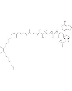 Oleoyl Coenzyme A, [oleoyl-9,10-3H]-