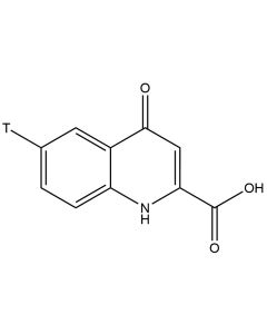 Kynurenic acid, [3H]-