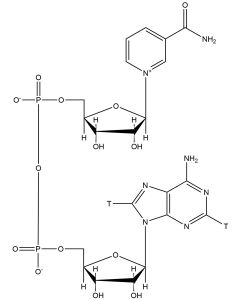 Nicotinamide adenine dinucleotide, [adenine-2,8-3H]-