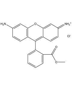 Rhodamine 123, [3H]-