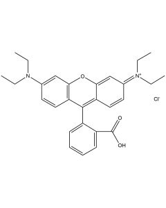 Rhodamine B, [3H]-