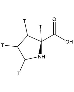 L-Proline, [2,3,4,5-3H]-