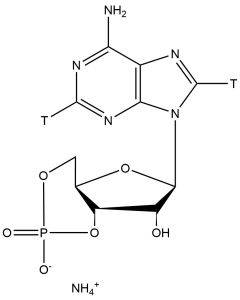 Adenosine 3',5'-cyclic phosphate, ammonium salt, [2,8-3H]-