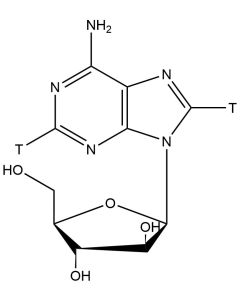 Adenine 9-ß-D-arabinofuranoside, [2,8-3H]-