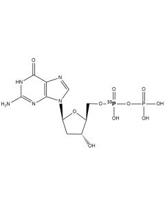 [alpha-P33]dGDP, 3000 Ci/mmol, 10 mCi/ml