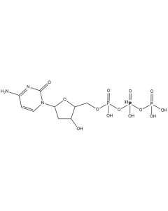 [beta-P33]dCTP, 3000 Ci/mmol, 10 mCi/ml