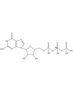 [beta-P33]GTP, 3000 Ci/mmol, 10 mCi/ml