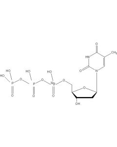 [alpha-P32]dTTP, 3000 Ci/mmol, 20 mCi/ml