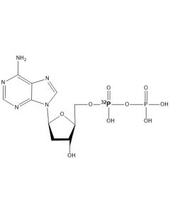 [alpha-P32]dADP, 6000 Ci/mmol, 10 mCi/ml