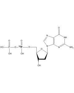 [alpha-P32]dGDP, 6000 Ci/mmol, 10 mCi/ml