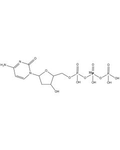 [beta-P32]dCTP, 6000 Ci/mmol, 10 mCi/ml