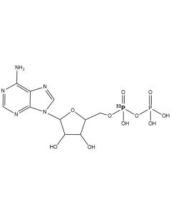 [alpha-P33]ADP, 3000 Ci/mmol, 10 mCi/ml